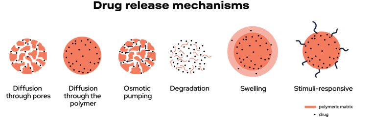 Mecanismos drug release. Liberación de fármacos