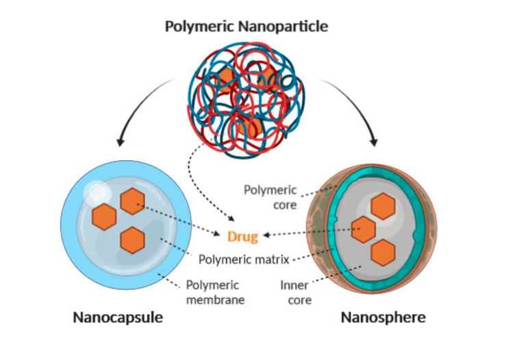 nanoparticulas. Liberación de fármacos