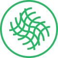 Polymer-meshes.png